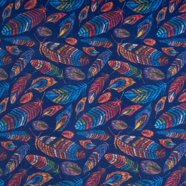 Multicolored Feather Design