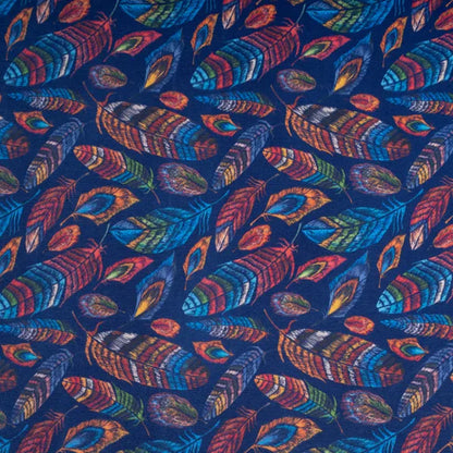 Multicolored Feather Design